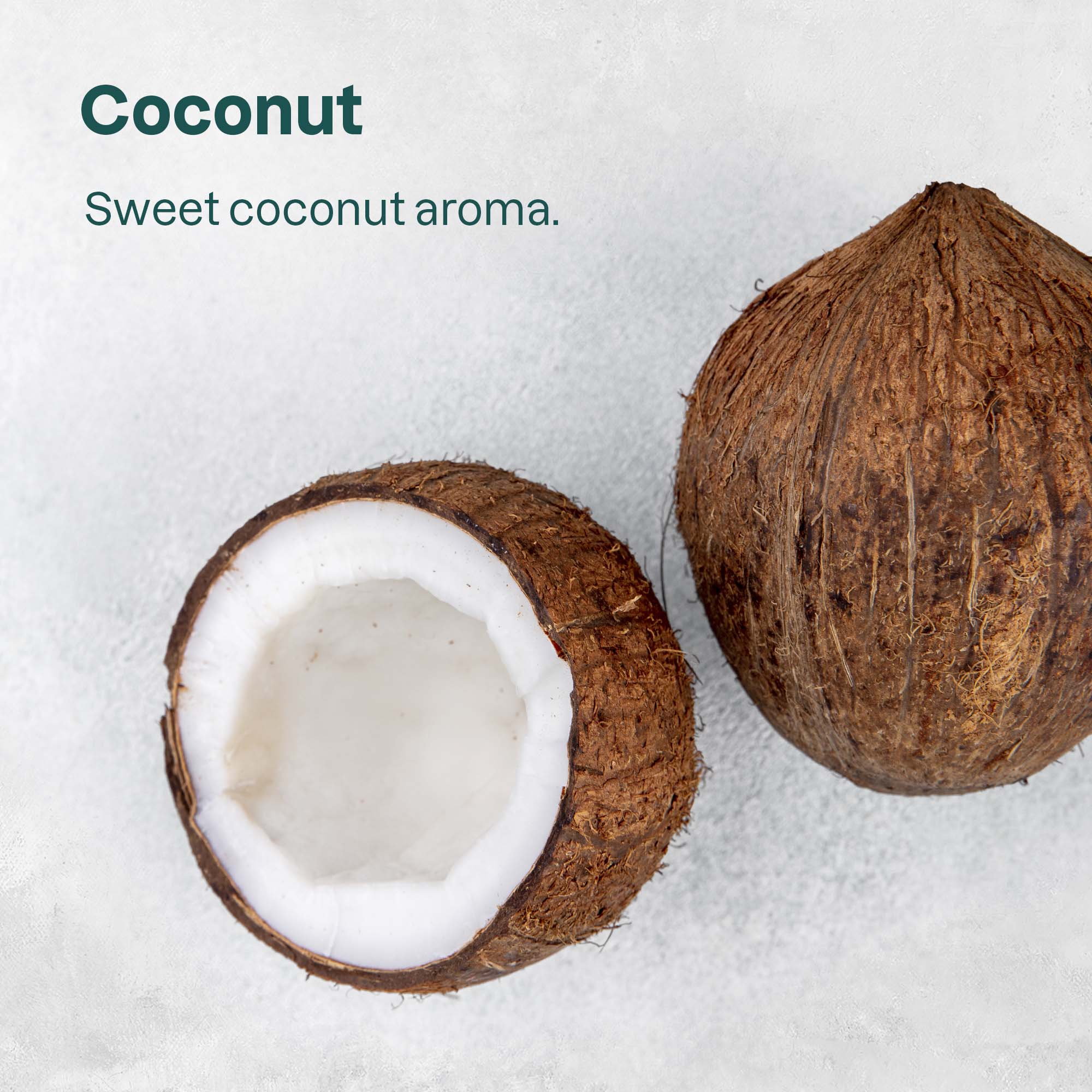 Lip Balm SPF 15 - Coconut