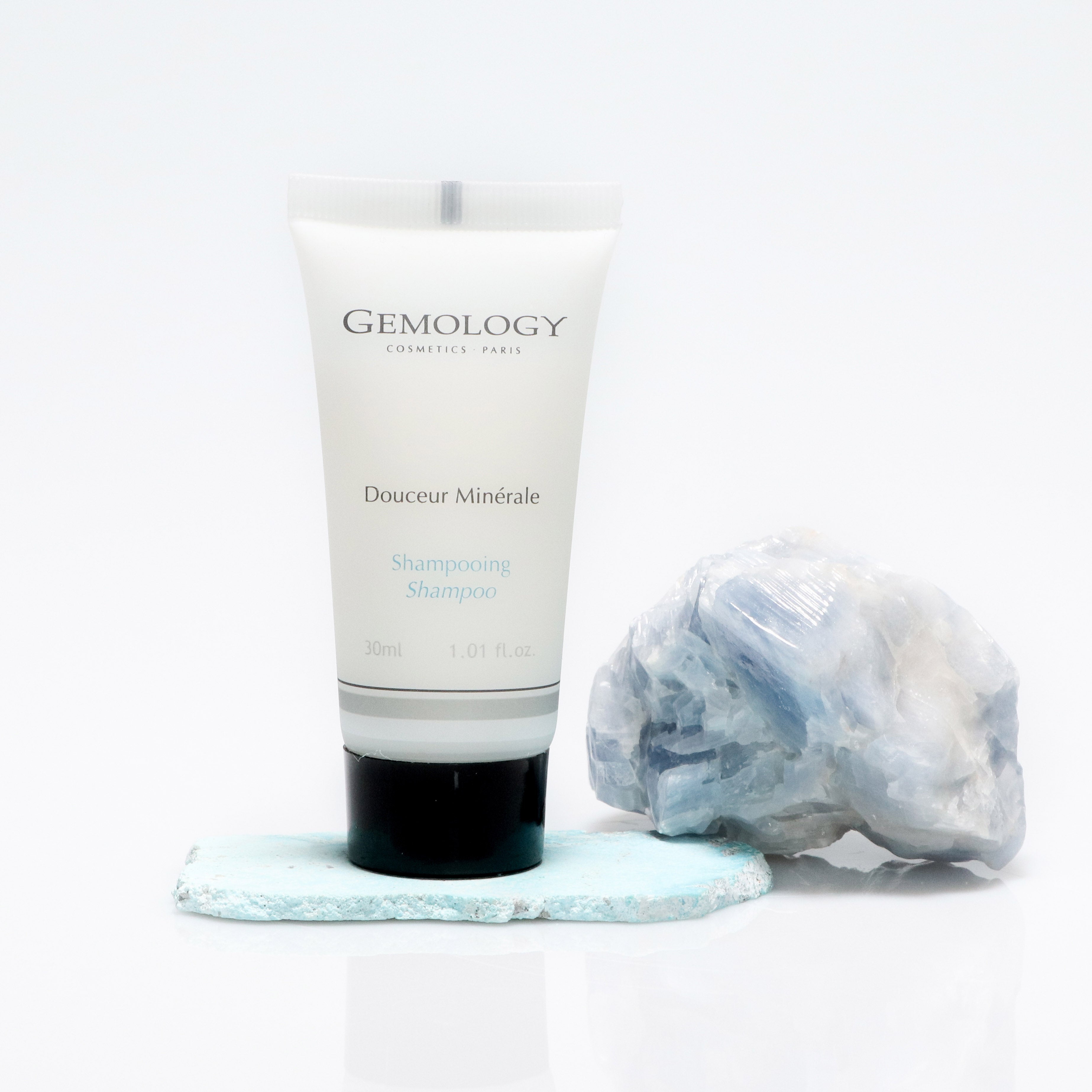 Reisestørrelse Sjampo