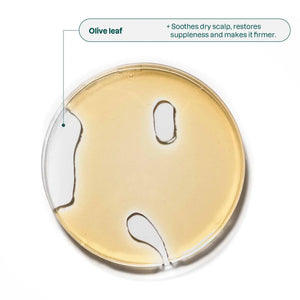 Nourishing Shampoo - Bergamot & Ylang-Ylang