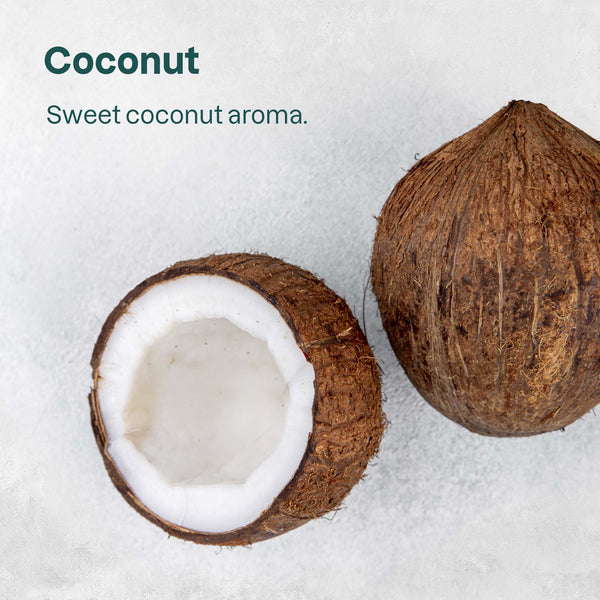 Lip Balm SPF 15 - Coconut