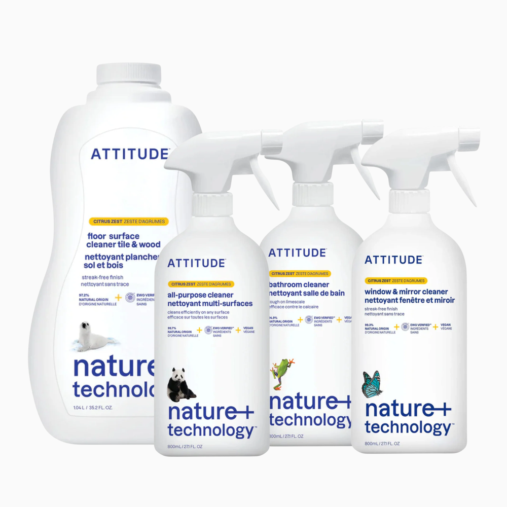 The Clean Home Kit